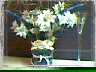 MILLENNIUM CENTERPIECE